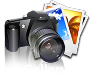 Gallery_icon-300x257
